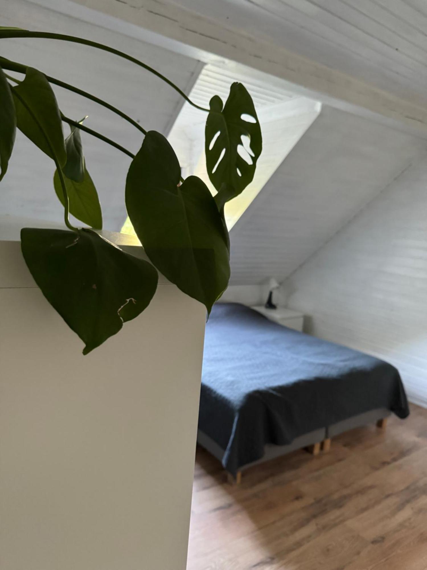 48C Domki Letniskowe I Apartament Pobierowo Exterior foto